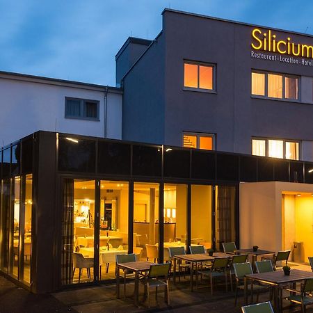 Hotel Silicium Höhr-Grenzhausen Exteriér fotografie